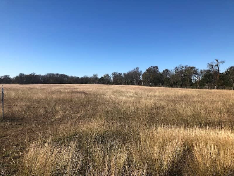Triumph Hill Ranch - Image 2