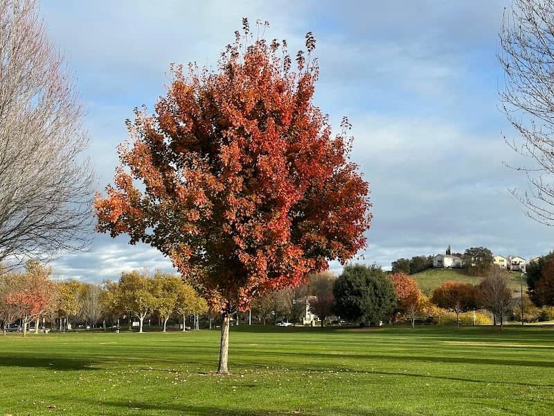 Twin Oaks Park - Image 1