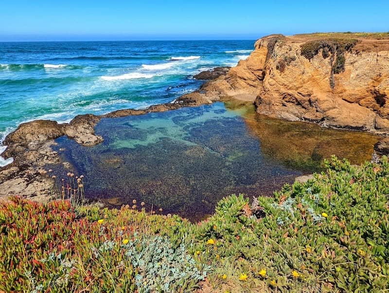 Pudding Creek Beach - Image 1