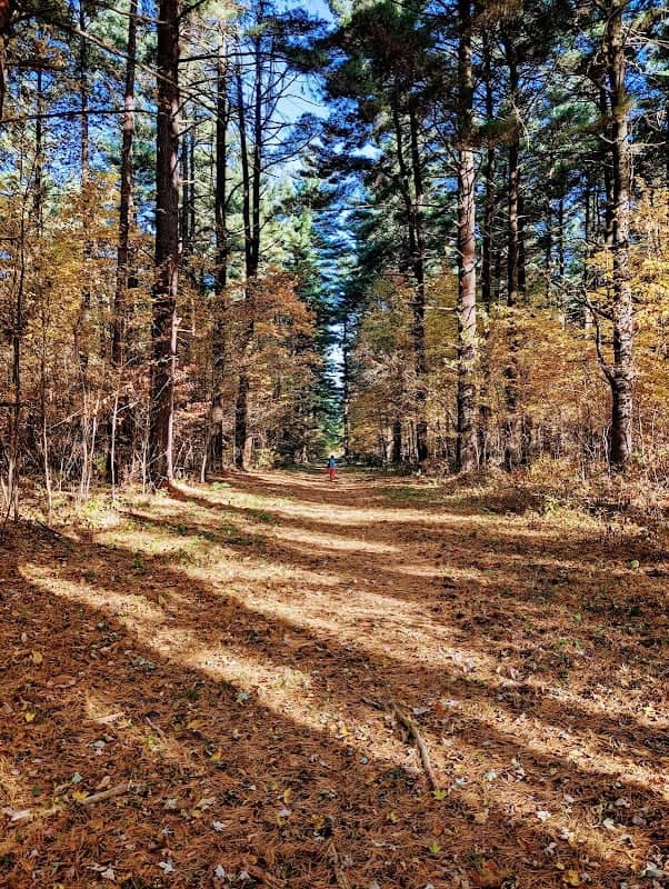 Maumee State Forest - Image 1