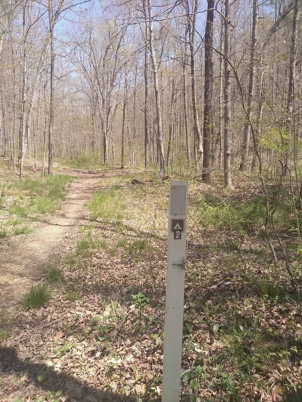 Shawnee Backpacking Camp 2 - Image 1