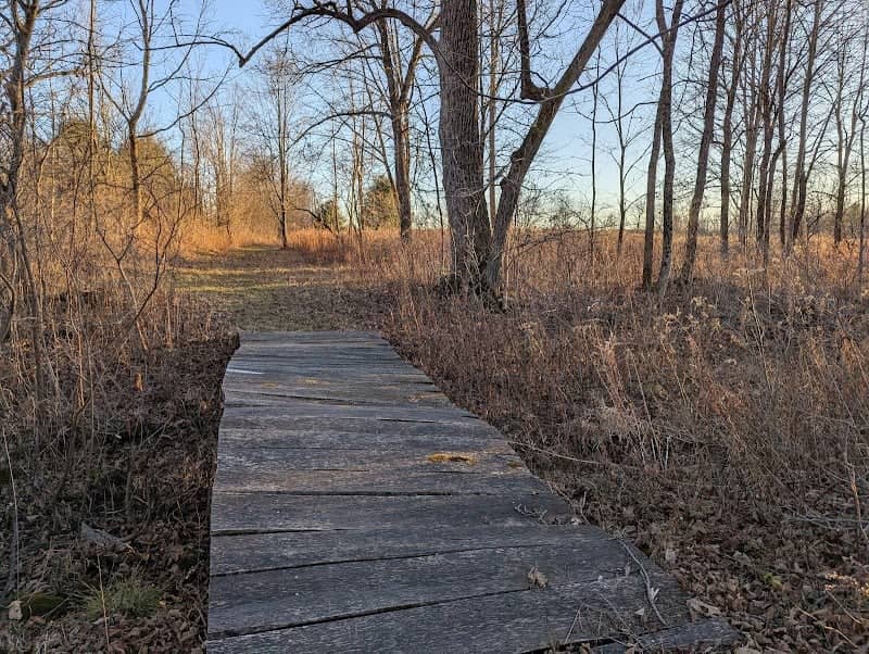 Strawberry Fields Nature Preserve - Image 1