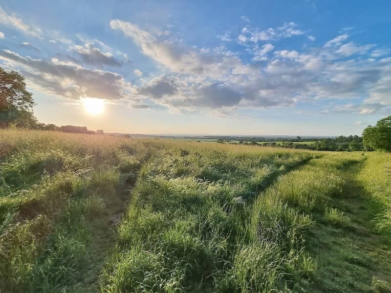 Humpty Hill - Image 1
