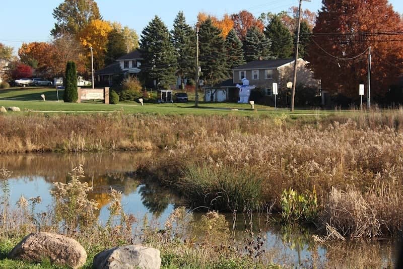 Growing Green Wetlands - Image 1