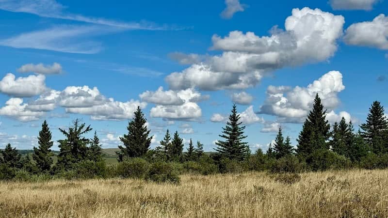 Cochrane Hill - Image 2