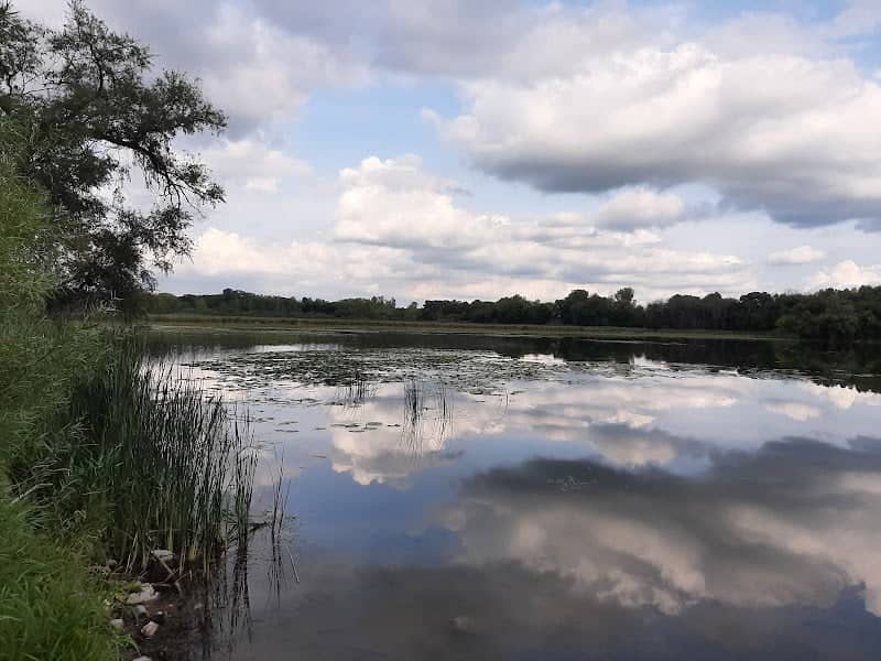 Storrs Lake Wildlife Area - Image 3