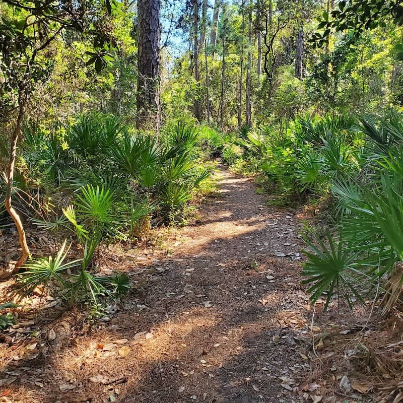 Oak Tree Nature Preserve - Image 3