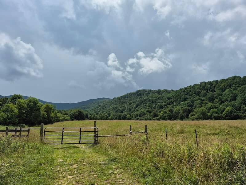 Hampton Creek Cove State Natural Area - Image 1