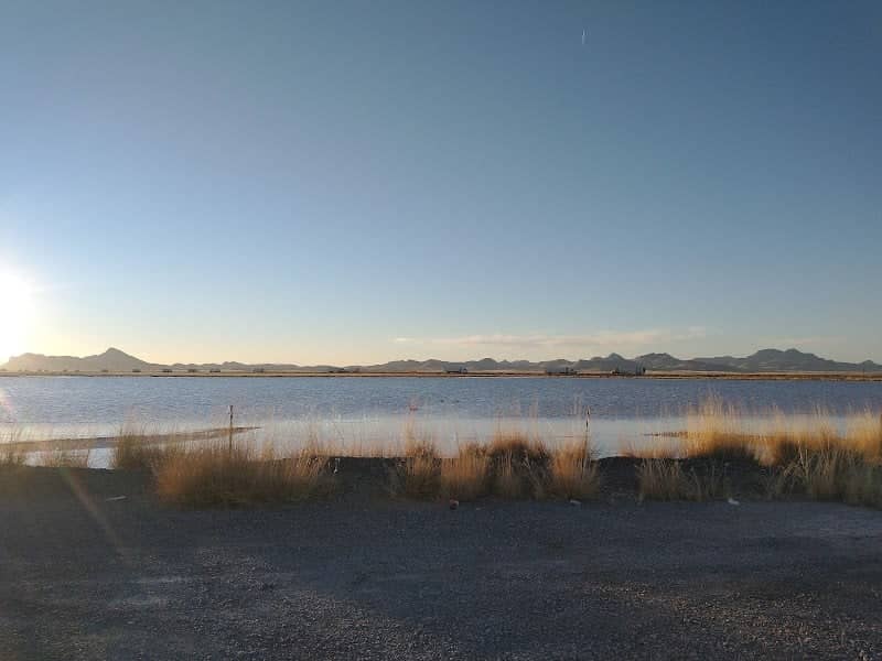 South Alkali Flats Duckpond - Image 3