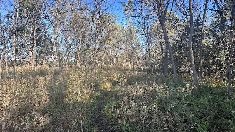 Cedar Island Wildlife Area - Image 1