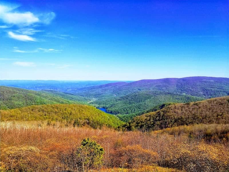 Moormans River Overlook - Image 2