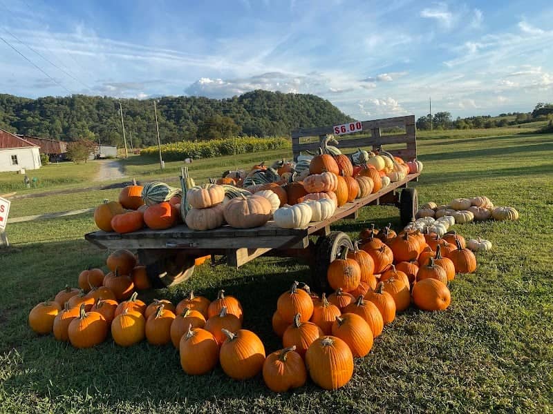 Myers Pumpkin Patch & Greenhouses - Image 1