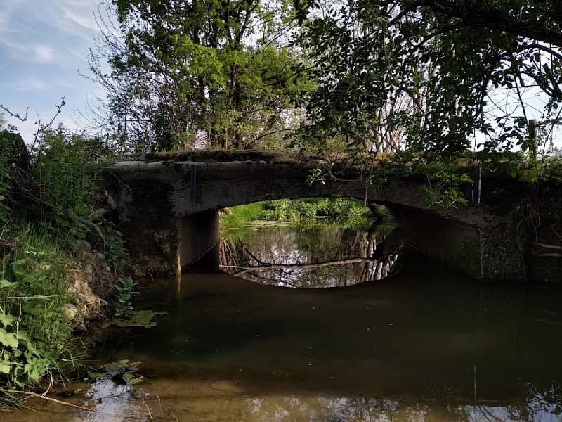 Rio Biondo - Image 1