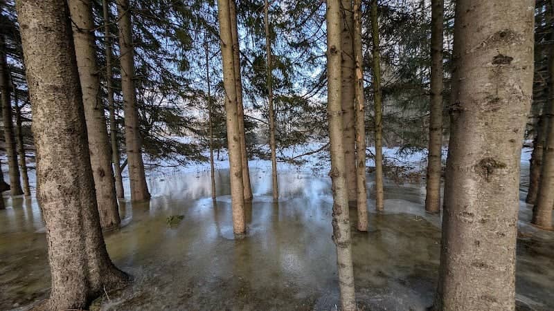 Accès Parc de la Rivière-Beauport - secteur Clemenceau - Image 1