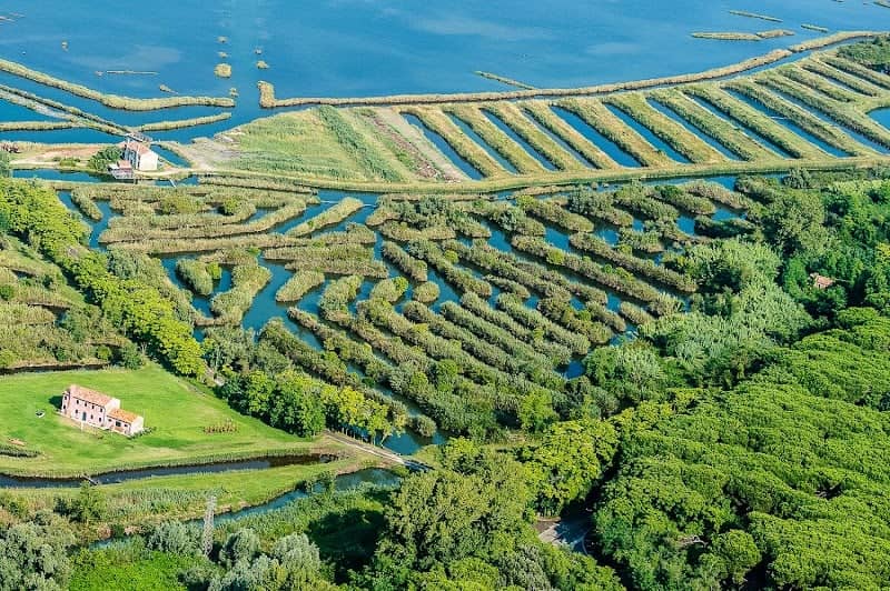 Riserva della Biosfera del Delta del Po - Image 1