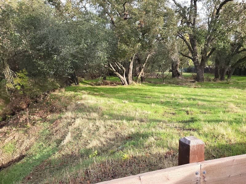 Woodside Oaks/Olivine Dr. Open Space Site - Image 3