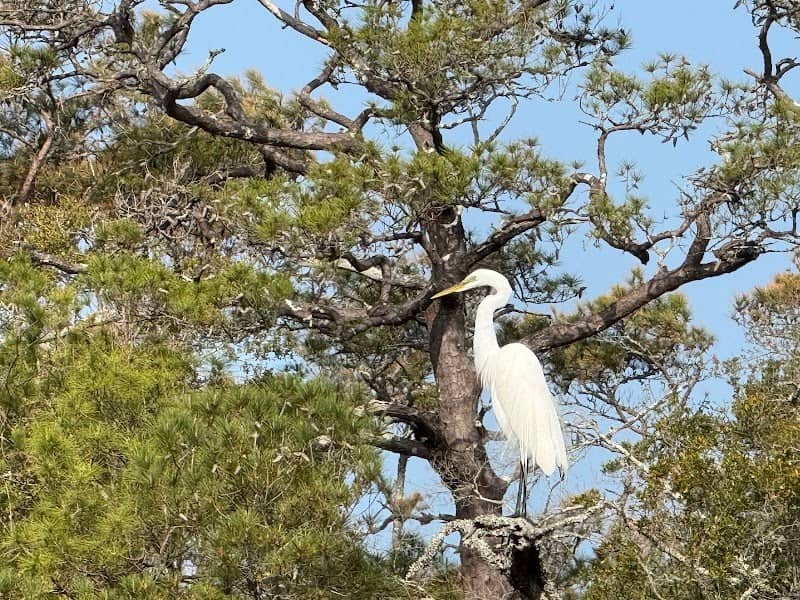 Ibis Lake Sanctuary - Image 1