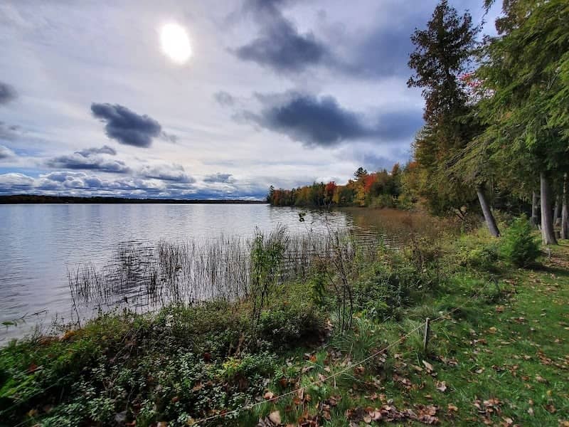 Birch Lake Park - Image 1