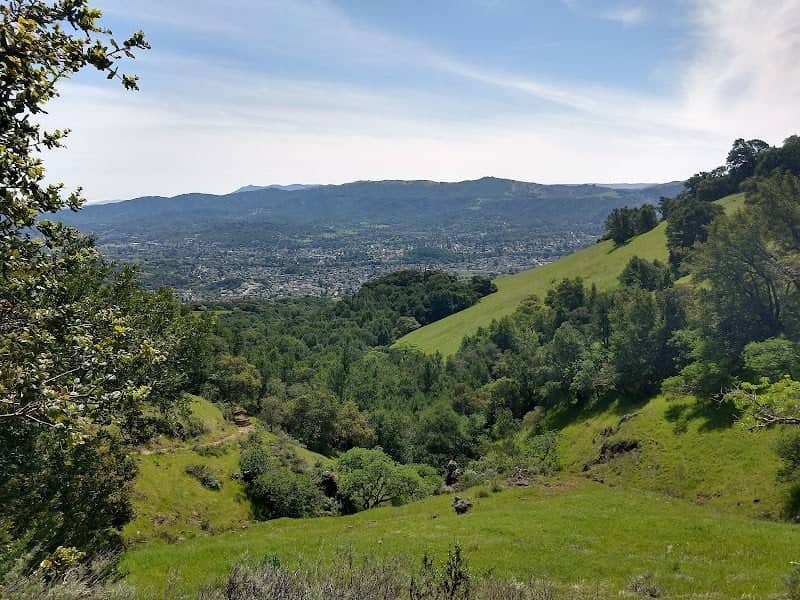 Mount Burdell Preserve - Image 1