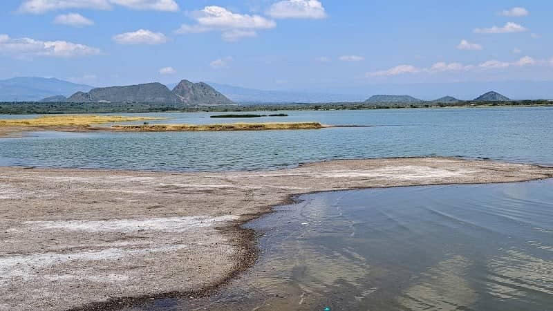 Lake Elementaita Wildlife Sancturary - Image 3