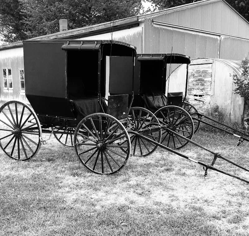 Bluffscape Amish Tours - Image 1