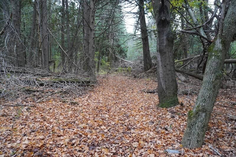 Humber Valley Heritage Trail - Image 2