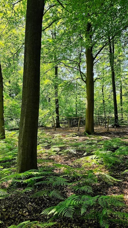 Arboretum Oostereng - Image 2