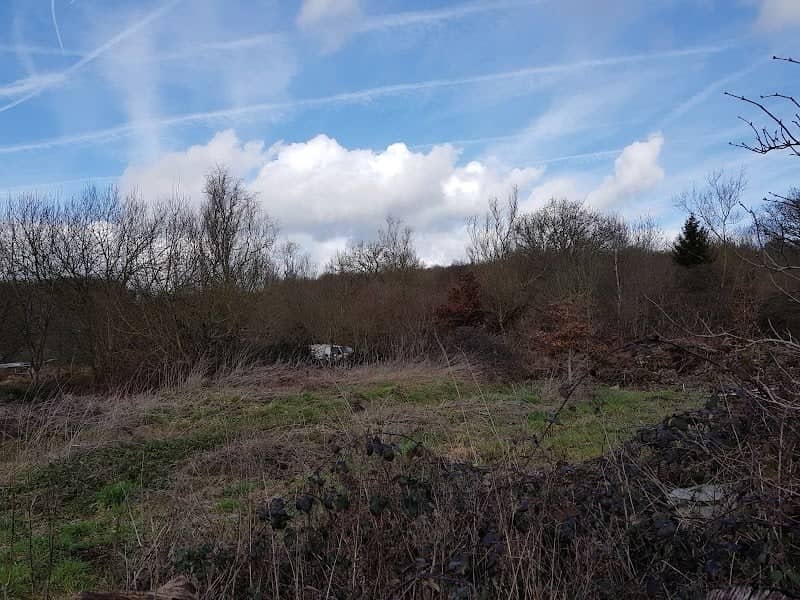 Brickhurst Farm (Brickhurst Trust) - Image 3