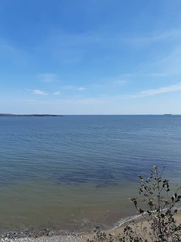 Seal rocks view - Image 2