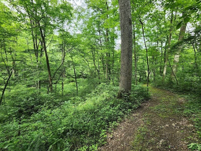 Quaker Ridge Arboretum & Nature Trails - Image 1