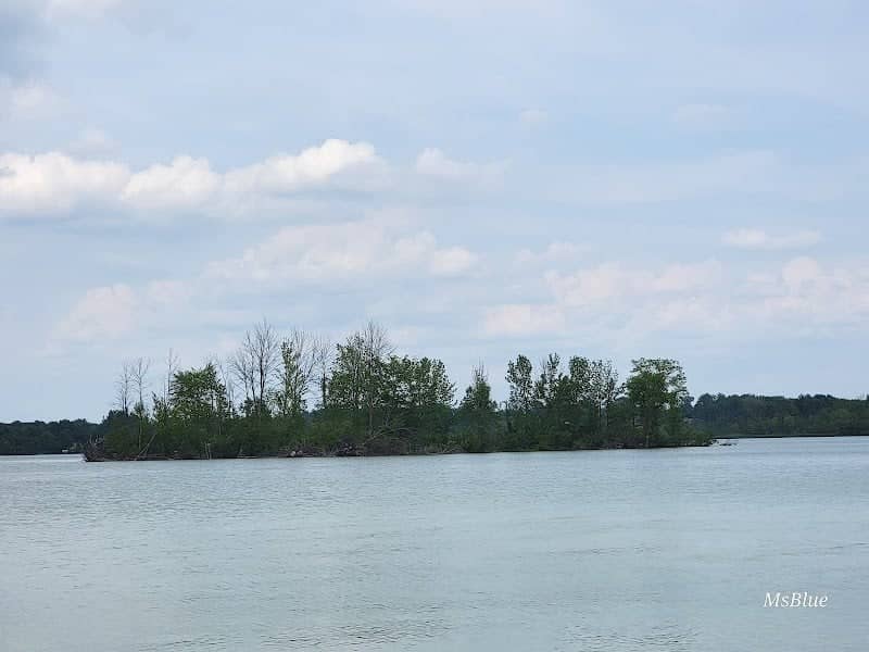 Geese Island - Image 1