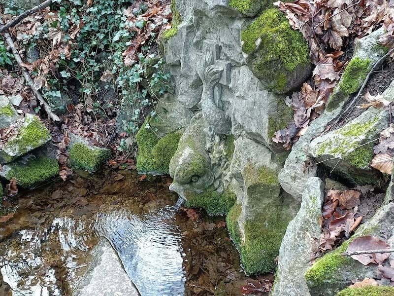 Froschquelle - Image 1