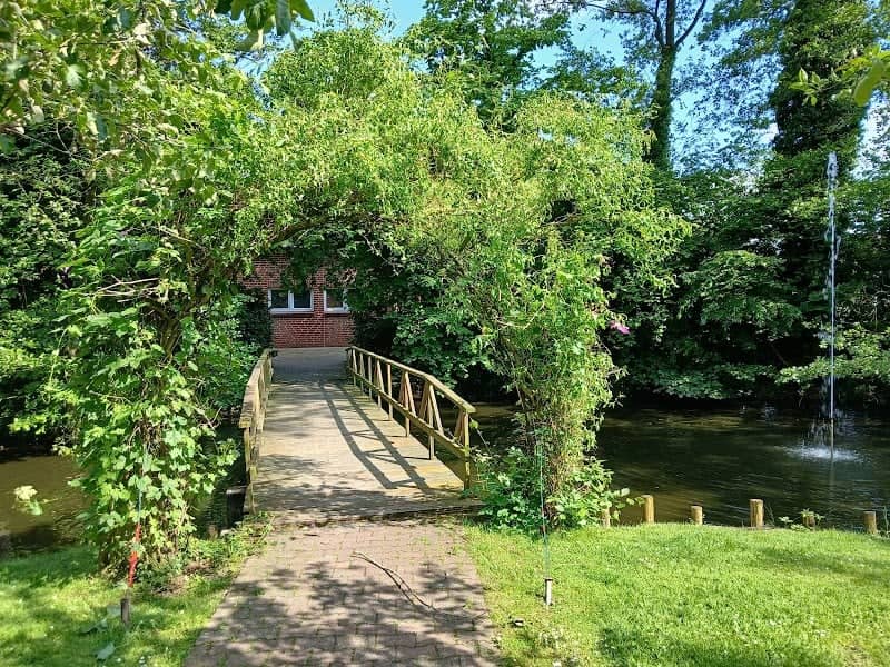 Saßlage - Image 1