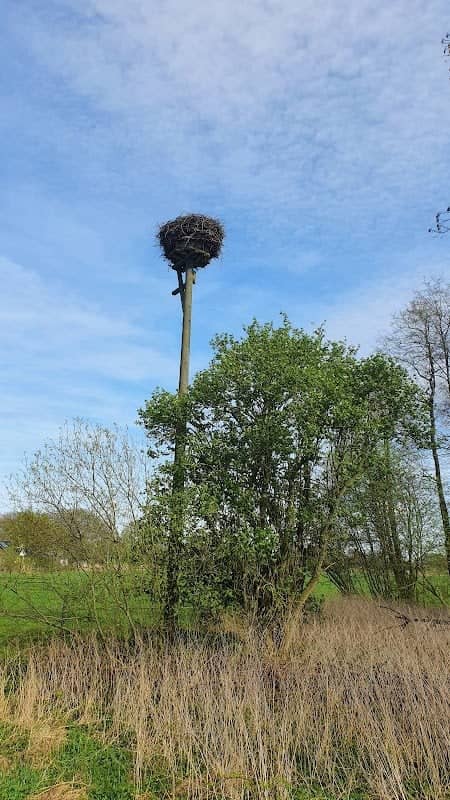 Storchennest 1 Lüdershausen - Image 1