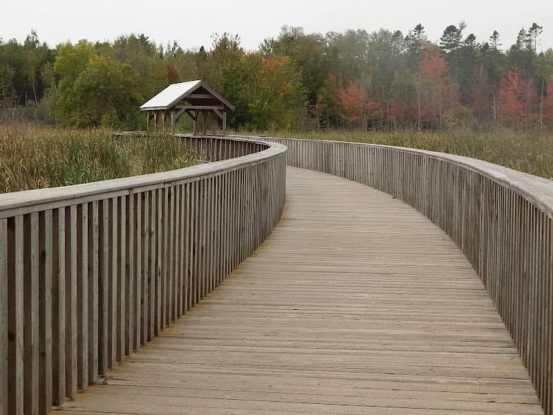 Gateway Wetlands and Conservation Area - Image 3