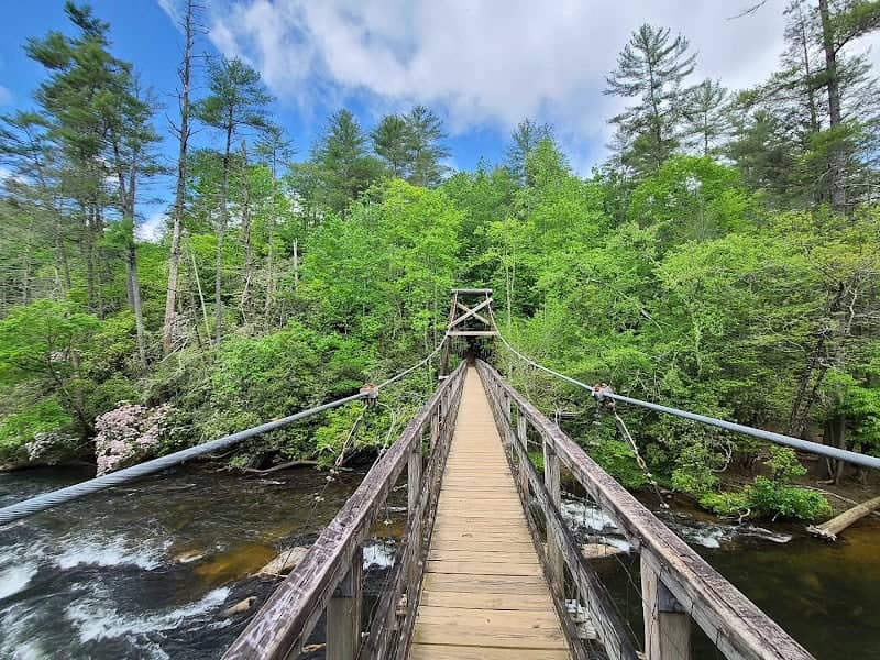 Swinging Bridge on the Toccoa River - Image 1