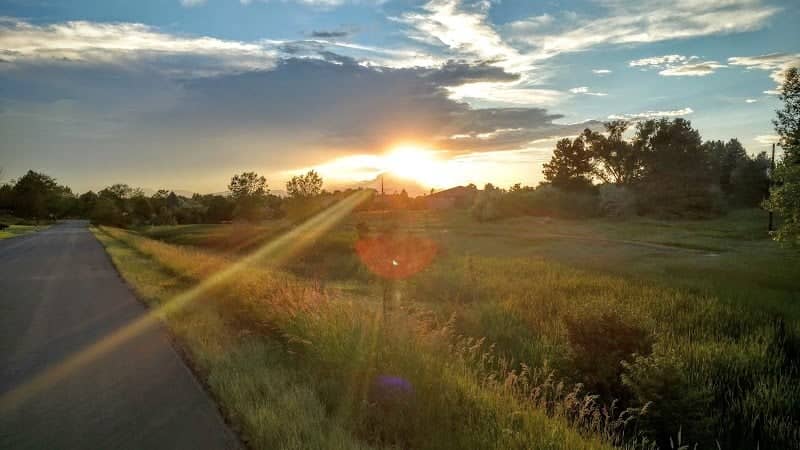 Cattail Park - Image 1