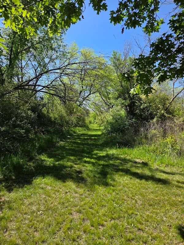 Bobwhite State Park Nature Trail - Image 2