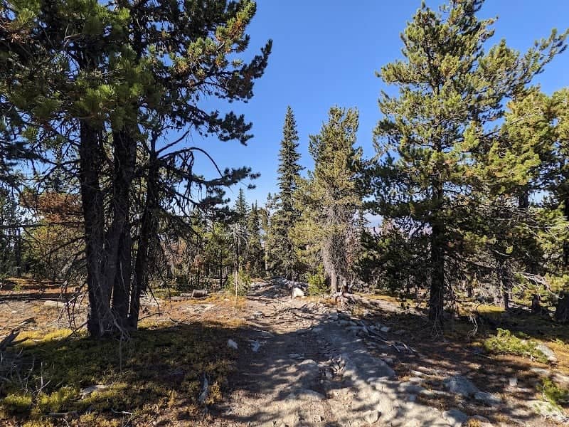 Bonaparte Mountain Trailhead - Image 3