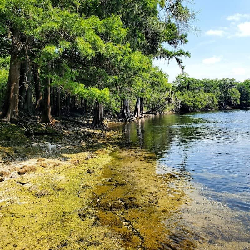 Brennan Park - TREPO - Image 2
