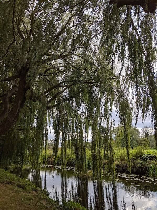 Horse River Green - Image 1