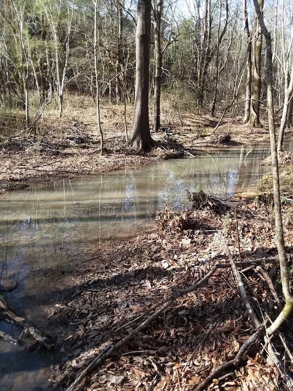 Mississippi Creek - Image 2