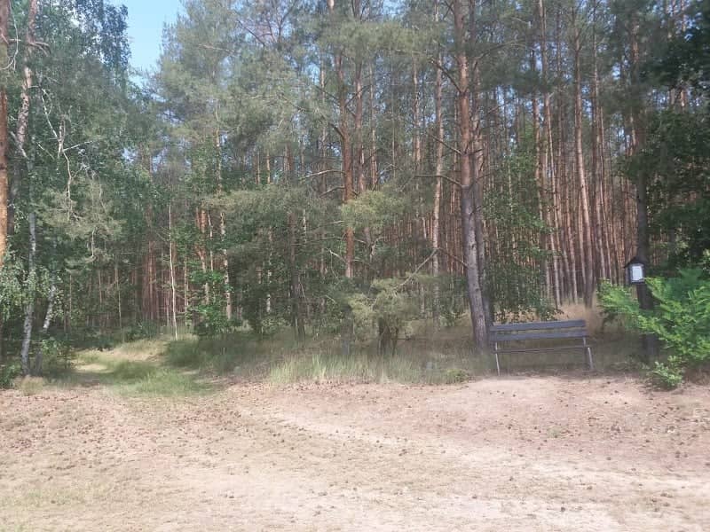 Wohlauer Echo - Image 1