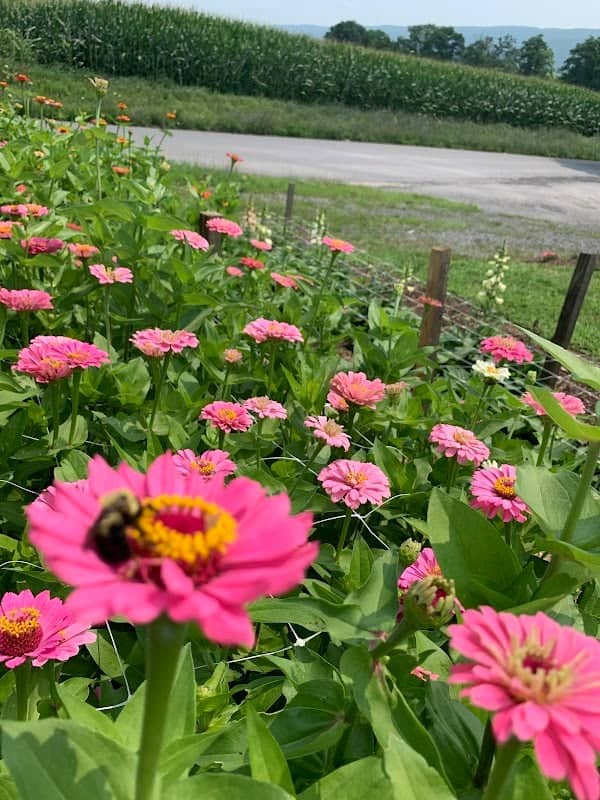 JP Gardens - Image 1