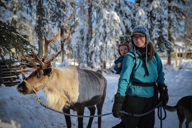 Kenai Reindeer Farm - Image 3