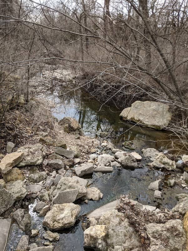 Conrad & Viola McGrew Nature Preserve - Image 2