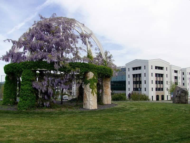 Lugas - Image 2
