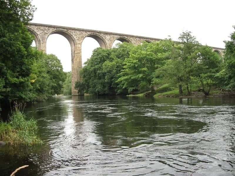 Tŷ Mawr Country Park - Image 1