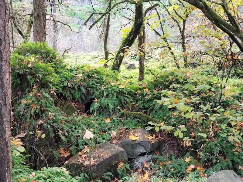 Columbia Botanical Gardens - Image 2