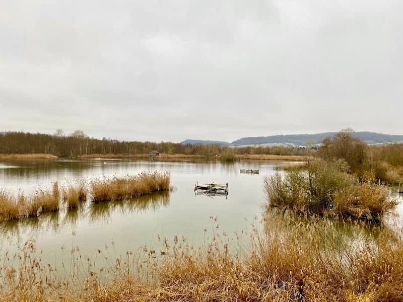 Aussichtsplattform - Image 3